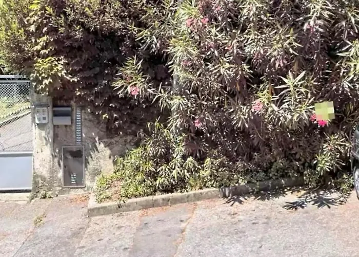 Via Moncolano Mare Barcola Διαμέρισμα Τεργέστη